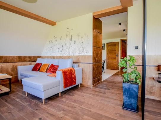 Apartment Atlas Chmur Bialy Dunajec
