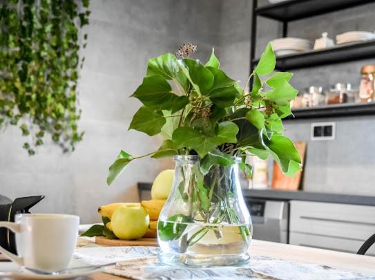 Atlas Chmur Apartment